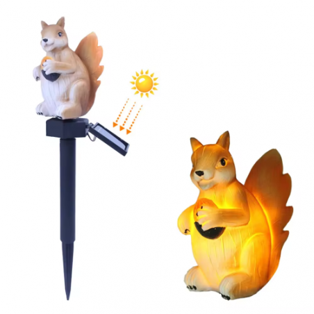 Image6 Image6