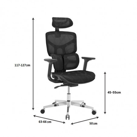 catalog/ERGOHUMAN/EH2.jpg catalog/ERGOHUMAN/EH2.jpg
