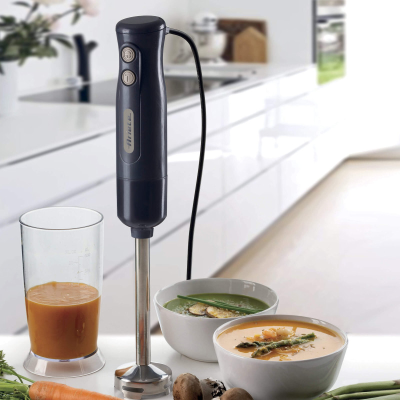 Пасатор Ariete BREAKFAST 0601/00, 700W, 2 скорости, Турбо, Функция против пръски, Тъмносив